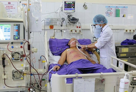 Nhiễm khuẩn liên cầu lợn tăng khi cận Tết